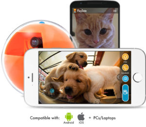 VoIP or voice internet protcol
