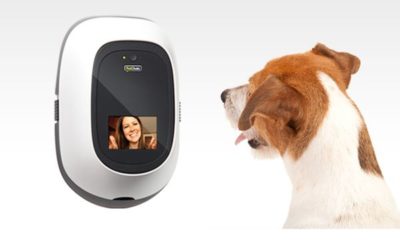 Video Conferencing Keeps You Connected To Your Furry Friends