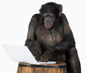 chimp-laptop