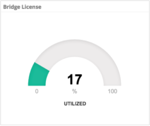 vAnalytics Video, Bridge License Utilization Image Sample